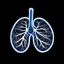 Placeholder: Lung Logo for ID, 4k, high resolution