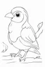 Placeholder: blank colouring book, white blank background, simple picture for toddlers, bird pet, disney and pixar style