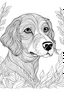 Placeholder: colouring page adog