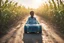 Placeholder: a plastic bottle car made of several plastic bottles on a dirty road next to a corn field in sunshine a little black boy standing happily next to it, ethereal, cinematic postprocessing, bokeh, dof