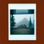 Placeholder: A polaroid photo of an odd room with structures. A transparent tarpaulin covers an image resembling a ruined building. There is a group of fir trees in the background and a high hill in the distance. The surface below is in a pastel color. Fog is present.