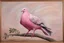 Placeholder: pink Pigeon 19th painting