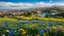 Placeholder: desktop wallpaper ,Turkey istanbul ,country side ,wild flowers,blue sky nice clouds,