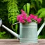 Placeholder: beautiful old watering can surrounded by gorgeous plants and flowers Modifiers: Award winning photography oil on canvas beautiful