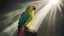 Placeholder: parrot through which a ray of light passes