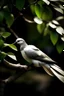 Placeholder: The dove and the olive branch
