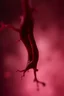 Placeholder: a blurry, distressing, haunting image of a blood vessel rupturing