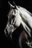 Placeholder: حصان ابيض ودقة الصورة ٢٠٠ وعرض وطول الصورة ٤،٣