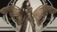 Placeholder: full length, steampunk delicate metal woman, moth, wings, black background