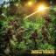 Placeholder: vietnam war. jungle. cd cover. bokeh. lens flare. warm lights. high detailed