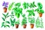 Placeholder: Vector plants and herb set illustration. Watercolor illustration color