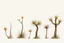 Placeholder: "Isolated concept art of multiple types of alien tree plant on a plain neutral background. Designed for Desert biome – dry, spiky, brittle grass with sharp edges, thorn-like blades, and pale dusty colors