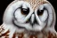 Placeholder: snow OWL FALCON