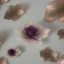 Placeholder: transparent multicolor crystal rose leaf
