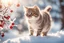 Placeholder: A beautiful little cat catches a berry while standing on a snowy branch in sunshine, ethereal, cinematic postprocessing, bokeh, dof