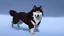 Placeholder: Alaskian Malamute running through the snow, furry style, shamanism, fish