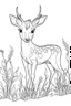 Placeholder: outline art for Fawn in a Meadow coloring pages with sitch, white background, Sketch style, full body, only use outline, toddlers style, clean line art, white background, no shadows and clear and well outlined.