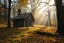 Placeholder: A Swedish wooden house in a mystery hilly oak forest in autumn, yellow orange leaves on ground, moist in air, early morning, sun streaks, dense vegetation, gnomes