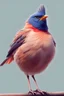 Placeholder: Fit bird