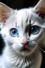 Placeholder: face of a white kitten