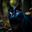 Placeholder: a black cat with blue eyes in the forest