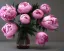 Placeholder: Pink peonies, ultra graphics, RTX, TXXA, SSAO, High quality,hyperrealistic, Super detailed, HDR,4k