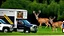 Placeholder: 3 deer that look like Mafia Goons take charge at the moving truck company corporate complex using Human like Mafia tactics brute force