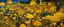 Placeholder: A yellow neighborhood with glowing mushrooms painted by Gustav Klimt