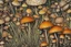 Placeholder: A variety of highly-detailed Hand sketched illustrations of Wild Mushrooms on paper, focus on line work and small shades of color, use shades of yellow, brown, black, red, and orange, add Chinese ink-brush details to the tops of mushrooms, Marco Mazzoni art style, fantasy like mushrooms