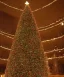 Placeholder: Great pyramid christmas tree