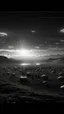 Placeholder: A land filled with hundreds of aliens in a bright light at the end of the picture a ufo object , cinematic, 8k, in black and white, fine line draw