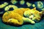 Placeholder: sleeping cat in van gogh style