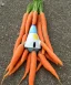 Placeholder: space rocket made of carrots