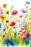 Placeholder: Watercolor Meadow flowers, colorful, perfect