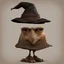 Placeholder: Harry Potter's Sorting Hat