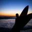 Placeholder: Silhouette of a female surfer holding a surfboard looking out at the ocean at twilight, dramatic stunning