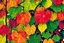 Placeholder: pop art pixels 1000 images english leaves in spring abstract klimt