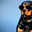 Placeholder: Rottweiller wearing sunglasses octane render high detail