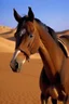 Placeholder: Horse, Sahara,