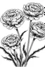 Placeholder: carnation flower coloring book