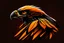 Placeholder: hawk, orange and black. logo