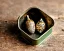 Placeholder: acorn in tin box with note wrapped around