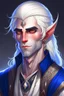 Placeholder: a romantic half-elf young man with long pointy ears and blue eyes, wears lots of jewelry, white hair