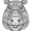 Placeholder: Hippopotamus, front view, mandala, minimal lines, cartoon, white back ground color, real style, realistic, minimalistic, minimal black line art, line art, crisp line art, unique coloring sheet, outlined, outline, crisp, crisp line edges, illustration, thin lines, crisp clear lines, line art, clean line art, unique, 8k, amazing, masterpiece, no colors, no dark color, no black color, avoid thick black, minimalistic line edges, pure white back ground, image character full fit to page,