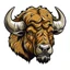 Placeholder: angled view of the head of a Canadian bull bison buffalo, sports mascot style