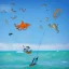 Placeholder: octopus and fish doing kitesurfing in the air, through a city, skyscrapers