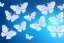 Placeholder:  gold background, rise of five little soft transparent blue and pink butterflies