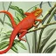 Placeholder: technical illustration of a chameleon, botanical illustration, scientific illustration, highly detailed, marginalia