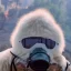 Placeholder: Yeti, background = (wildfires, mountains, fires, smoke, disaster)