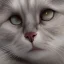 Placeholder: white cat, natural pigment, extremely sharp detail, finely tuned detail, ultra high definition, 8 k, unreal engine 5, ultra sharp focus, winter ambiance